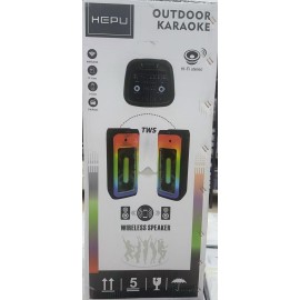 HEPU HP-S11 80W
