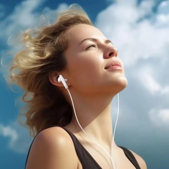 XIAOMI TYPE-C EARPHONES