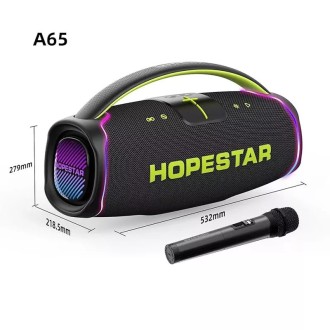 HOPESTAR A80 300W