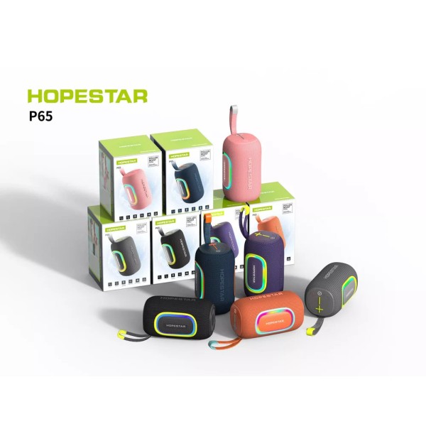 HOPESTAR P65
